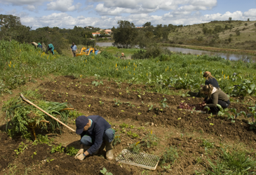 Food Security